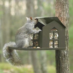 Erva Bird Proof Squirrel Feeder